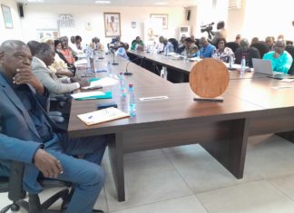 CONAKRY : LE DOCUMENT PLAN STRATEGIQUE ET OPERATIONNEL DU FADES VALIDÉ CE MARDI