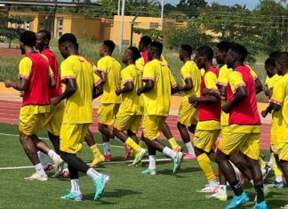 CHAN 2024 (Q) : LES 23 GUÉPARDS LOCAUX CONNUS