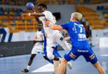 HANDBALL (U19) : LA GUINÉE S’INCLINE LOURDEMENT FACE À L’ISLANDE