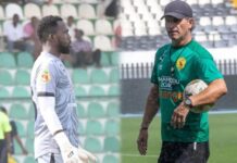 CHRONIQUE : LES CHOIX DE GARDIENS DE PAULO DUARTE INTERROGENT