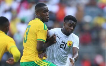 CAN 2027 (Q) : LE SYLI NATIONAL S’INCLINE EN AFRIQUE DU SUD